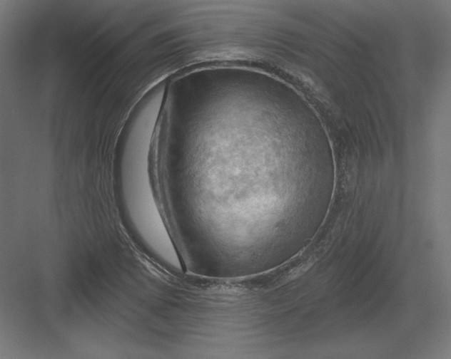 X0000082181073200702092303
