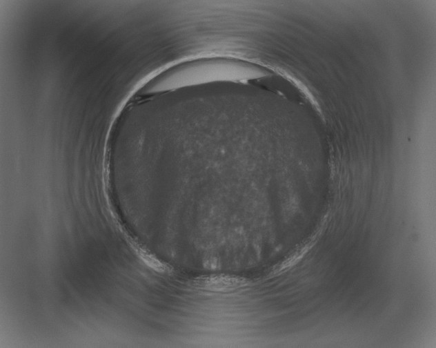 X0000082181077200702092303