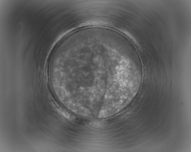 X0000082181078200702092303