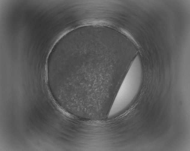 X0000082181079200702092303