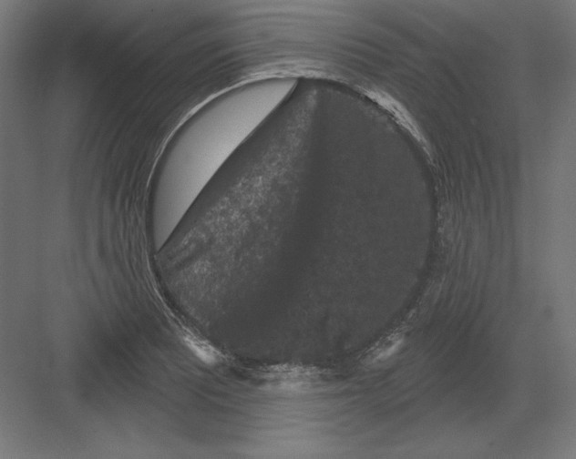 X0000082181081200702092303