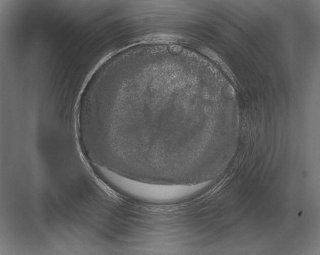 X0000082181083200702092303