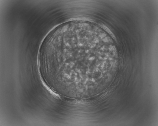 X0000082181084200702092303