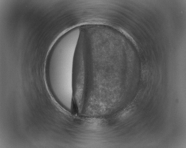X0000082181085200702092303