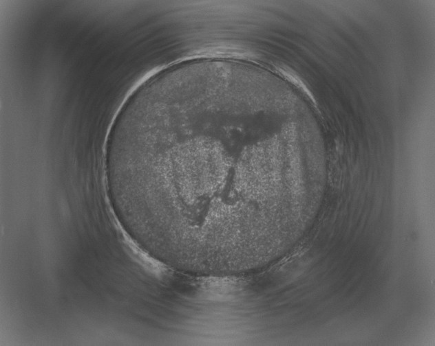 X0000082181087200702092303