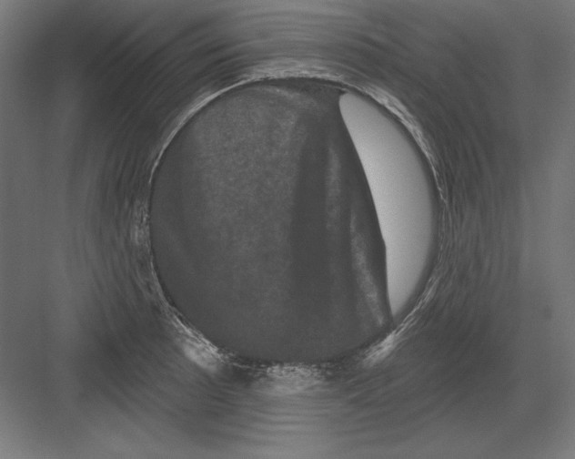 X0000082181089200702092303