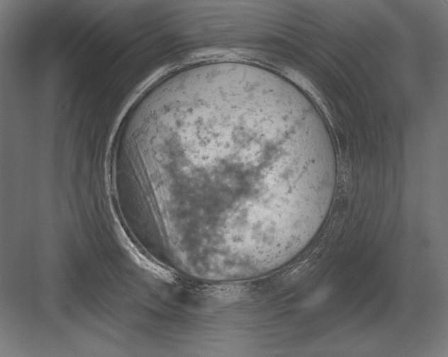 X0000082181090200702092303