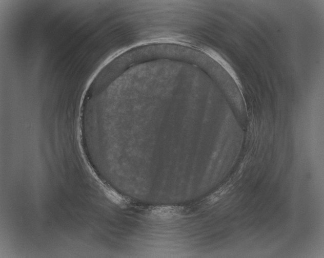 X0000082181093200702092303