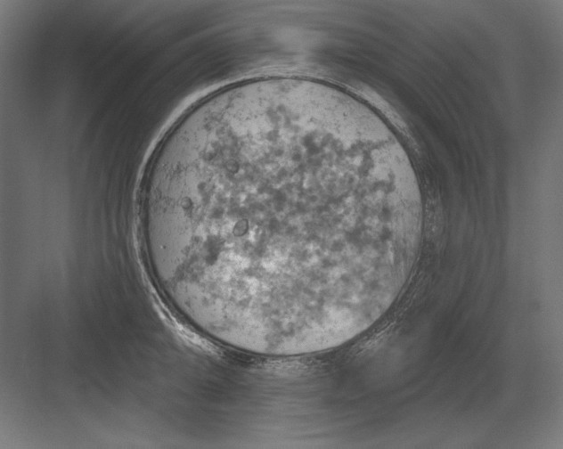 X0000082181094200702092303