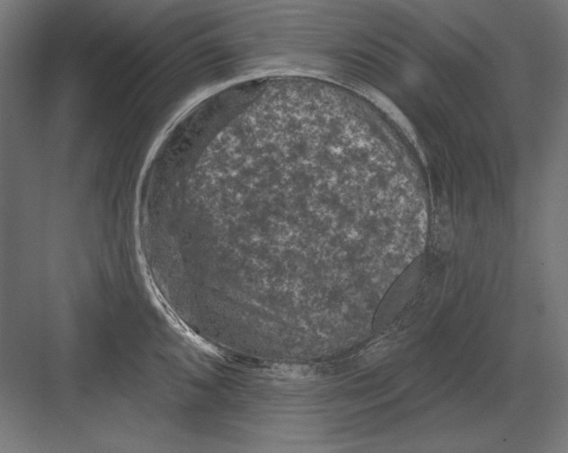 X0000082181096200702092303