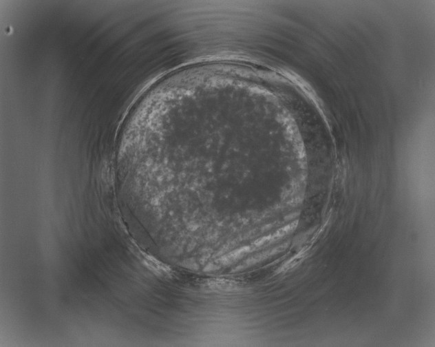 X0000082181097200702092303