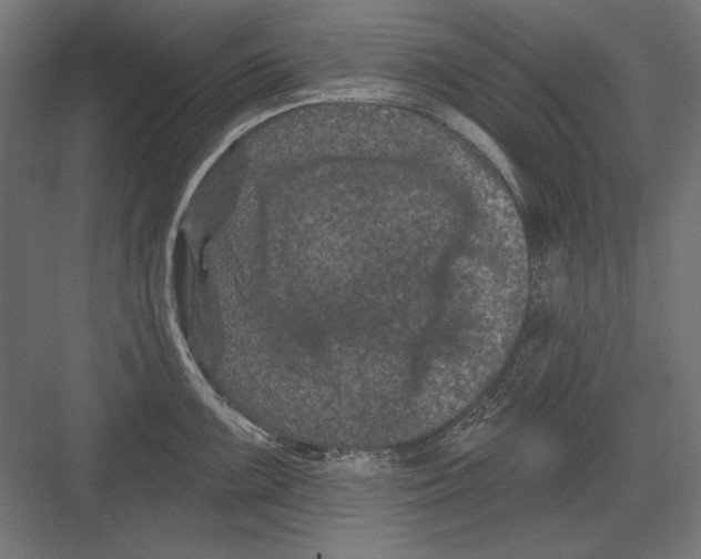 X0000082181099200702092303