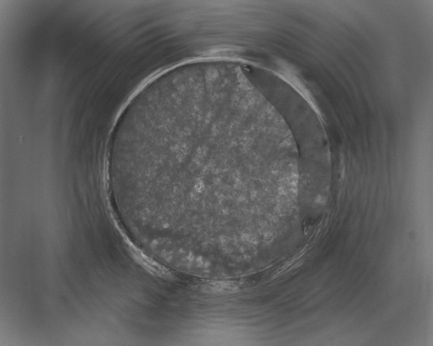 X0000082181101200702092303