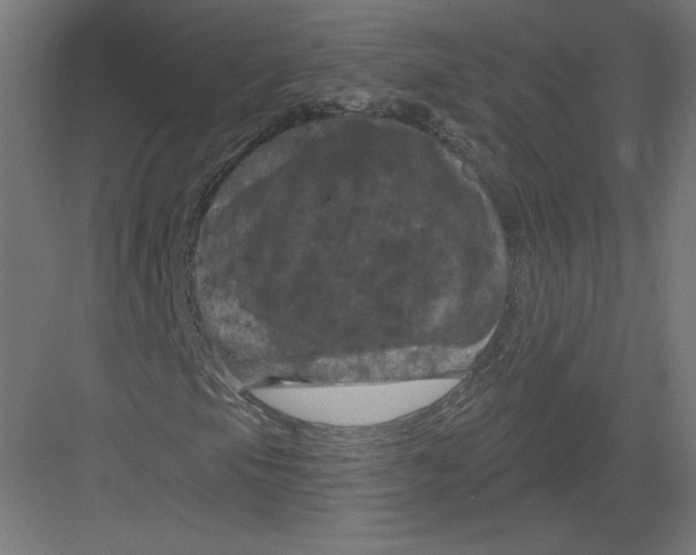 X0000082181105200702092302