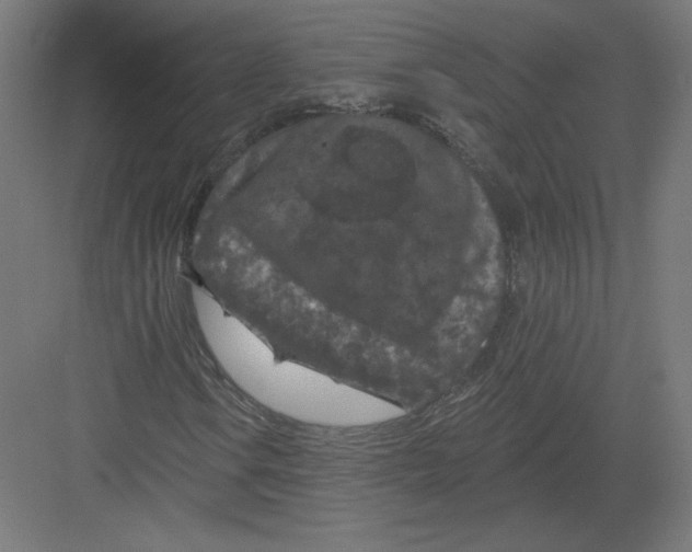 X0000082181106200702092302