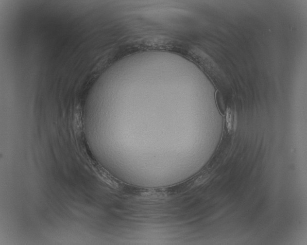 X0000082181107200702092302