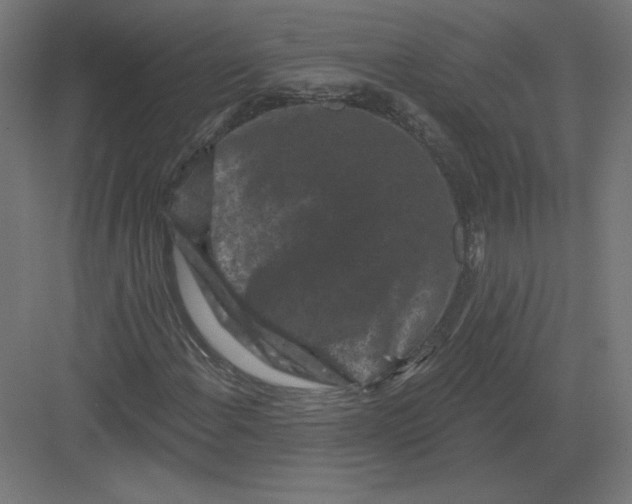 X0000082181108200702092302