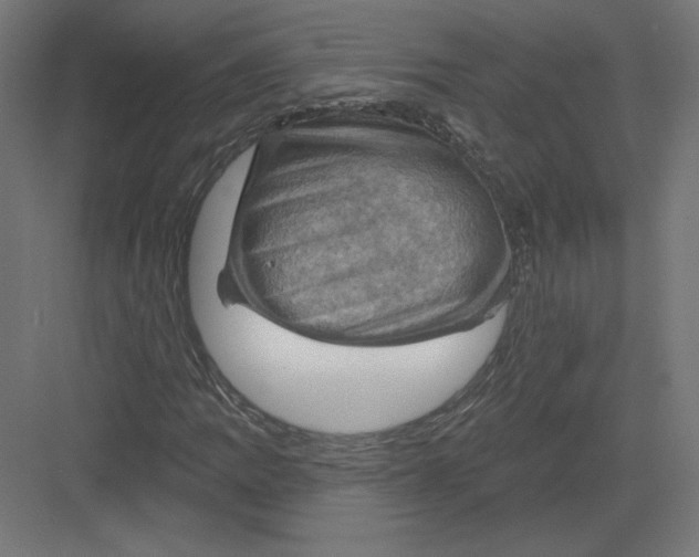 X0000082181109200702092302
