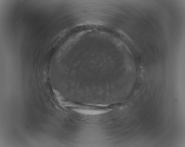 X0000082181110200702092302
