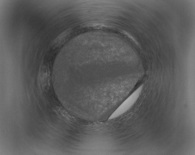 X0000082181111200702092302