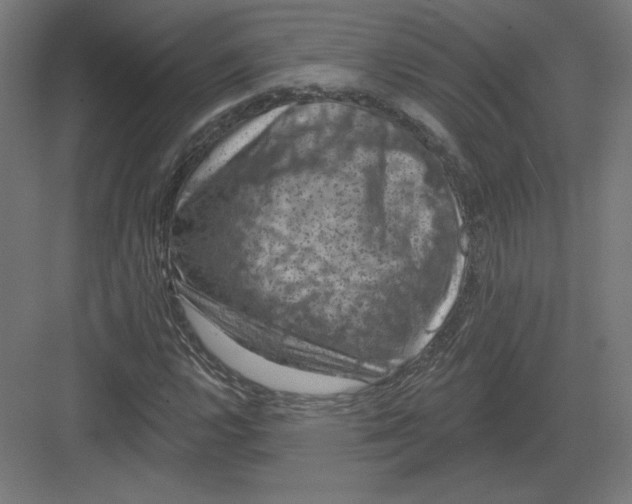 X0000082181112200702092302