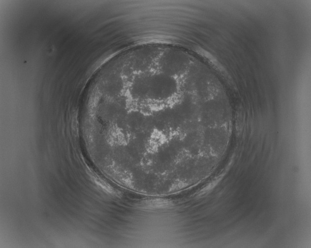 X0000082181113200702092302