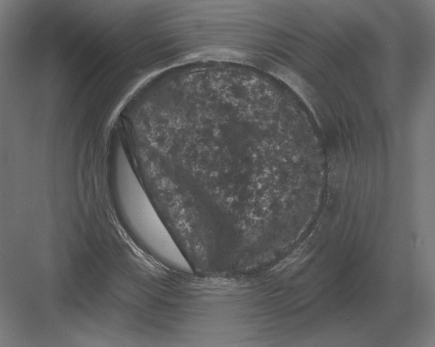 X0000082181115200702092302