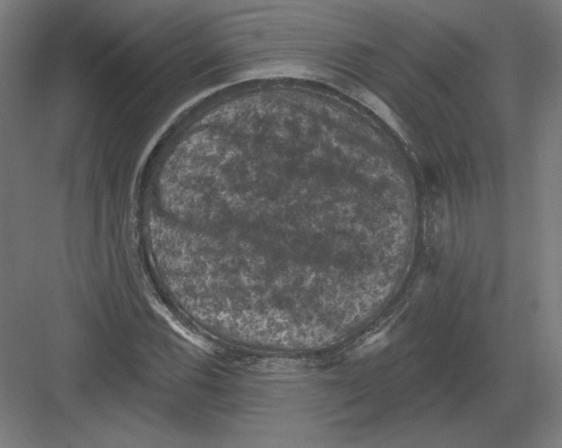 X0000082181116200702092302