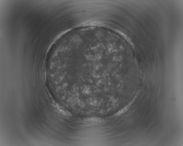 X0000082181117200702092302