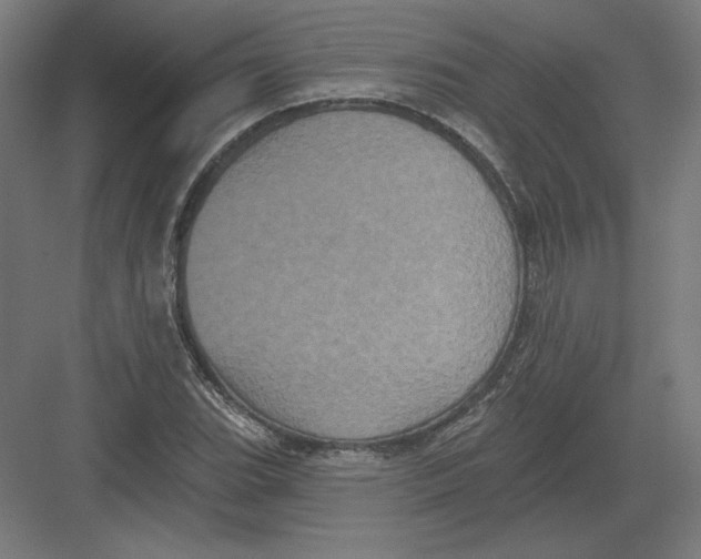 X0000082181119200702092302