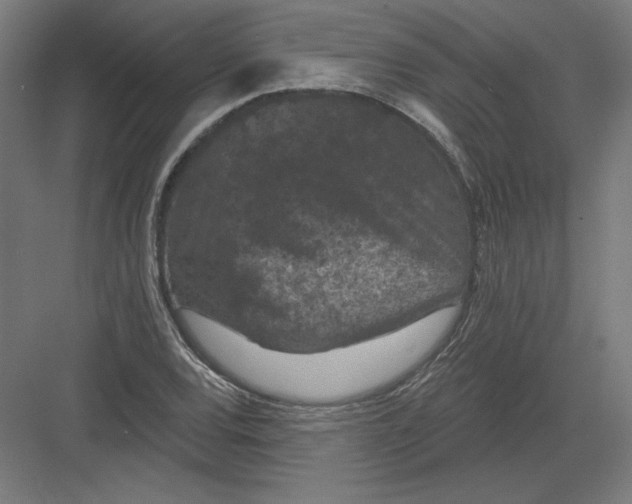 X0000082181120200702092302