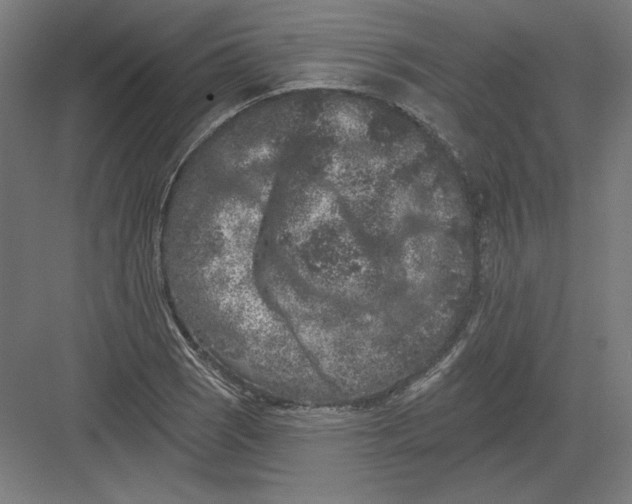 X0000082181121200702092302