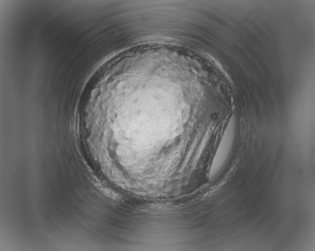 X0000082181125200702092302