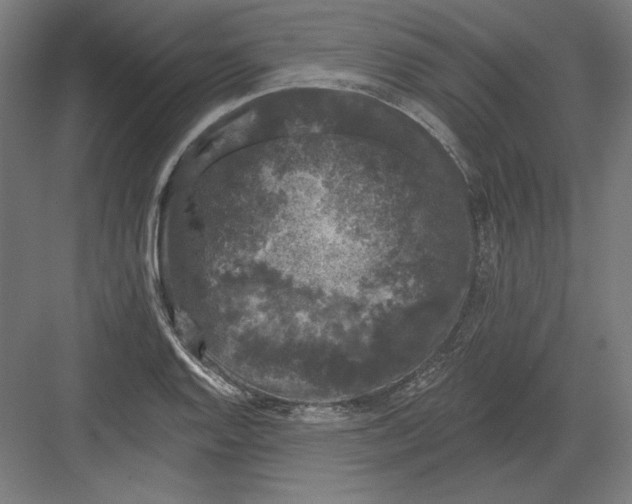 X0000082181128200702092302