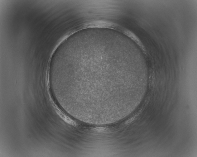 X0000082181130200702092302
