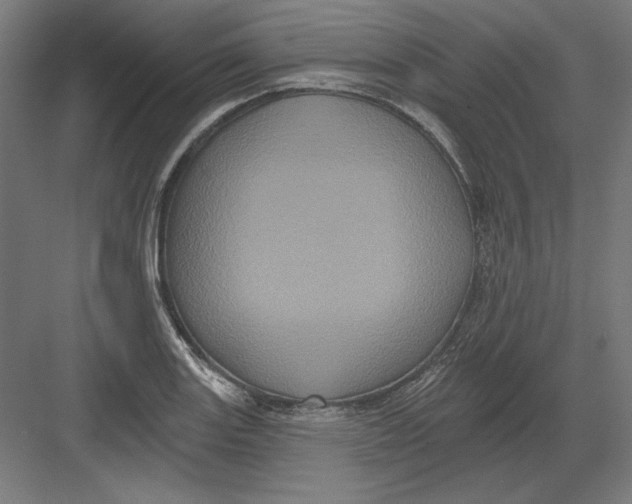 X0000082181131200702092302