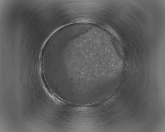 X0000082181132200702092302