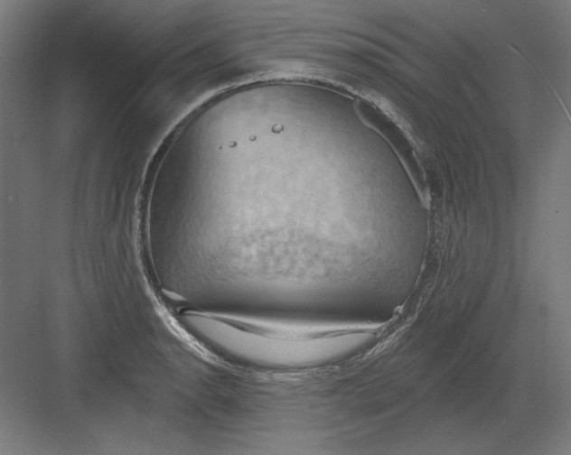 X0000082181134200702092302
