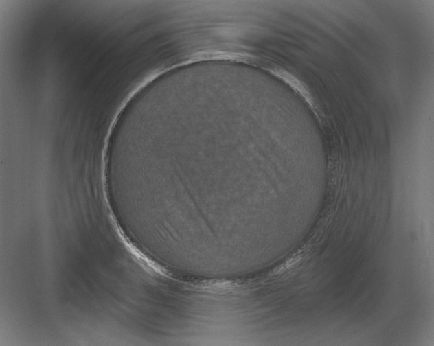 X0000082181135200702092302