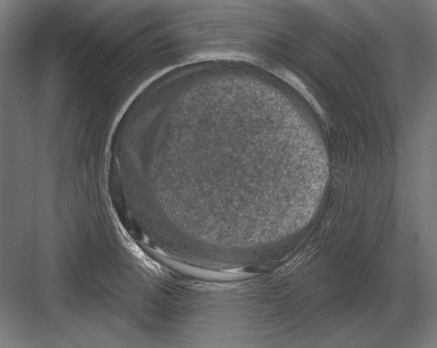 X0000082181140200702092303