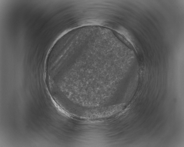 X0000082181143200702092303