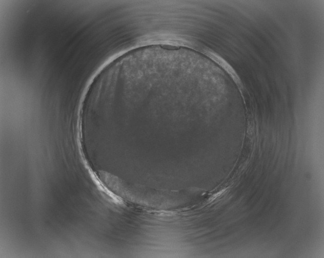 X0000082181144200702092303