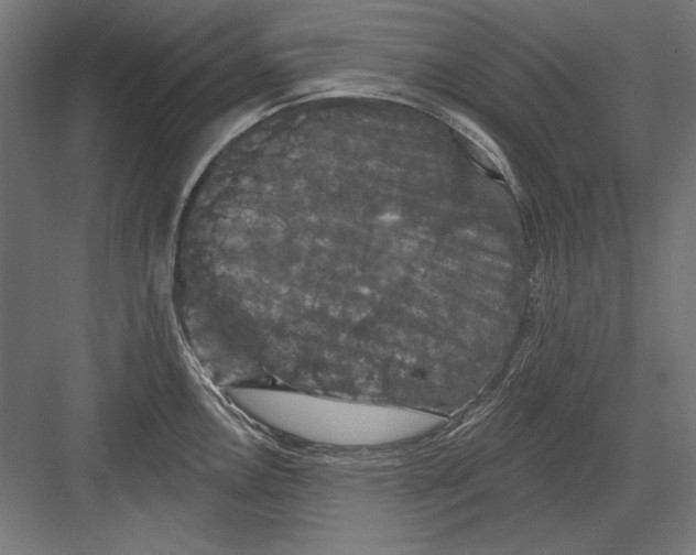 X0000082181146200702092303