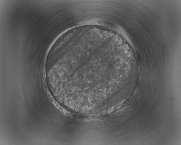 X0000082181148200702092303