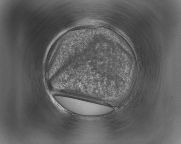 X0000082181152200702092303
