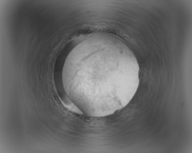 X0000082181153200702092302