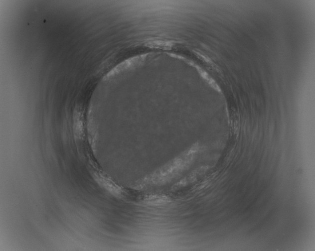 X0000082181154200702092302