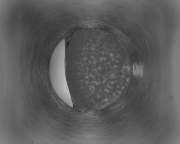 X0000082181155200702092302