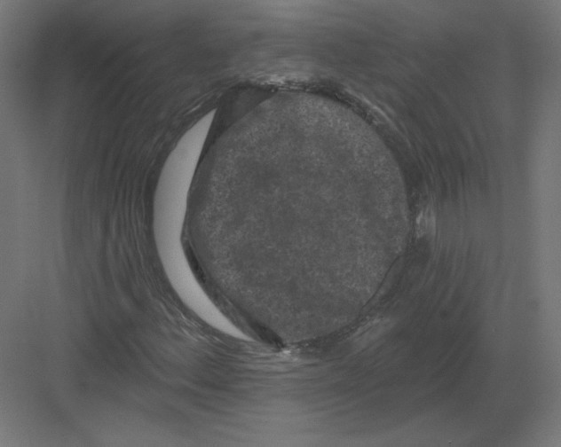 X0000082181156200702092302