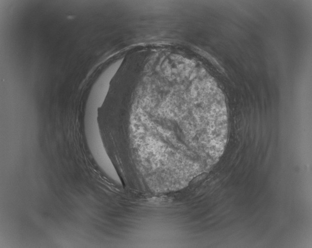 X0000082181160200702092302
